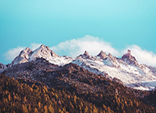 篮板遭完爆辽宁暴露最大问题 杨鸣：排第1啥也不是