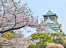 天博体育app下载-美国入境禁令部分解除 国际球员以及家属可以返回